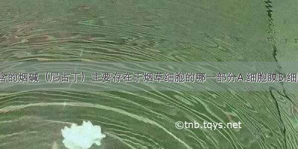 单选题烟草含的烟碱（尼古丁）主要存在于烟草细胞的哪一部分A.细胞膜B.细胞质C.液泡D