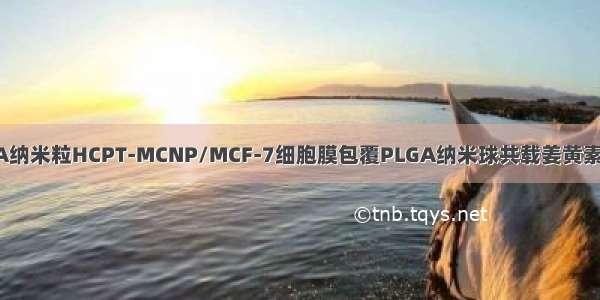 巨噬细胞膜包裹PLGA纳米粒HCPT-MCNP/MCF-7细胞膜包覆PLGA纳米球共载姜黄素和二氢卟吩e6的研究