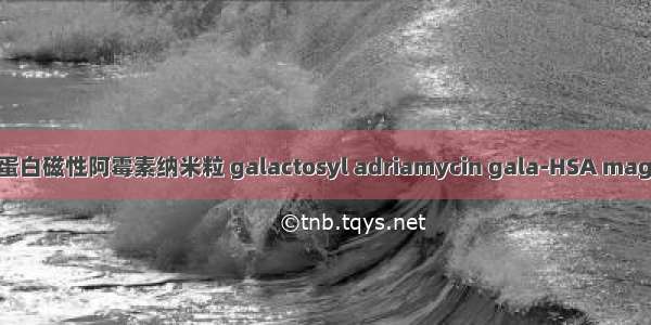 半乳糖基白蛋白磁性阿霉素纳米粒 galactosyl adriamycin gala-HSA magnetic nano