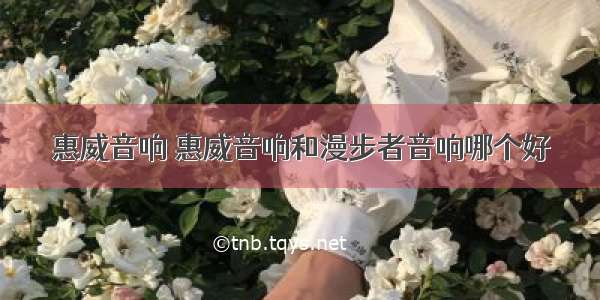 惠威音响 惠威音响和漫步者音响哪个好