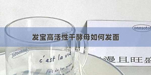 发宝高活性干酵母如何发面