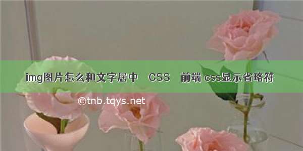 img图片怎么和文字居中 – CSS – 前端 css显示省略符