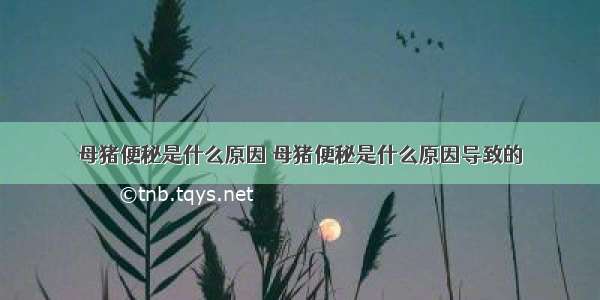 母猪便秘是什么原因 母猪便秘是什么原因导致的