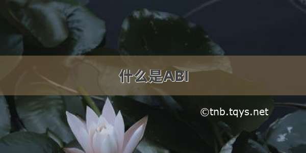 什么是ABI