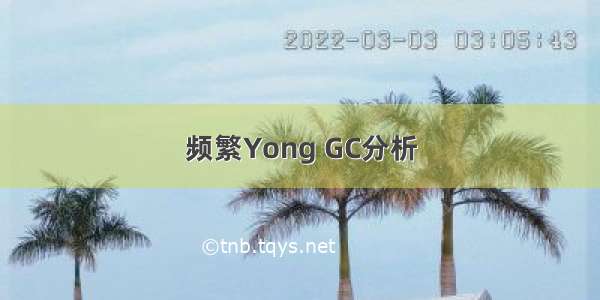 频繁Yong GC分析