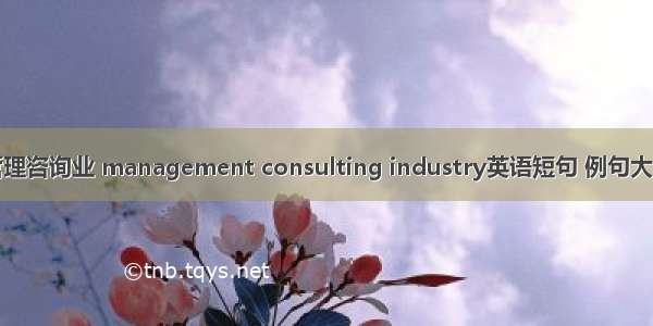 管理咨询业 management consulting industry英语短句 例句大全