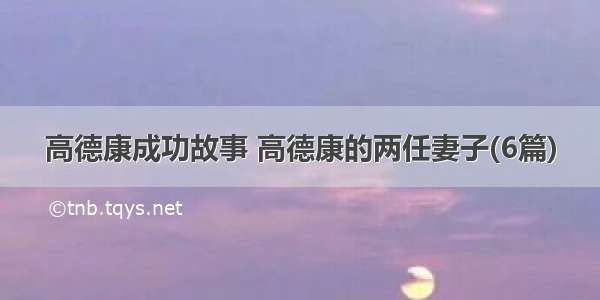 高德康成功故事 高德康的两任妻子(6篇)