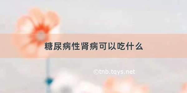 糖尿病性肾病可以吃什么