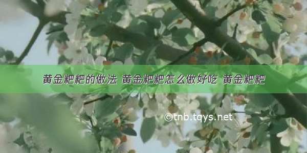 黄金粑粑的做法 黄金粑粑怎么做好吃 黄金粑粑