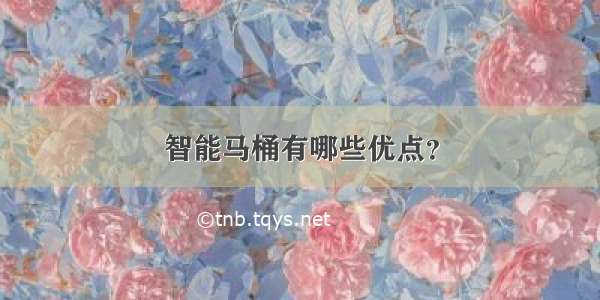 智能马桶有哪些优点？