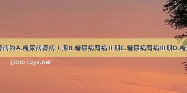 临床糖尿病肾病为A.糖尿病肾病Ⅰ期B.糖尿病肾病Ⅱ期C.糖尿病肾病Ⅲ期D.糖尿病肾病Ⅳ期