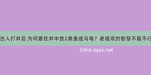 古人打井后 为何要在井中放2条鱼或乌龟？老祖宗的智慧不服不行