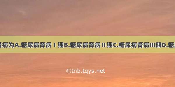 临床糖尿病肾病为A.糖尿病肾病Ⅰ期B.糖尿病肾病Ⅱ期C.糖尿病肾病Ⅲ期D.糖尿病肾病Ⅳ期