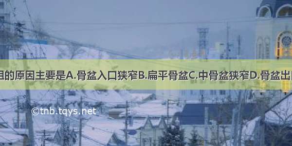 此时产程受阻的原因主要是A.骨盆入口狭窄B.扁平骨盆C.中骨盆狭窄D.骨盆出口狭窄E.漏斗