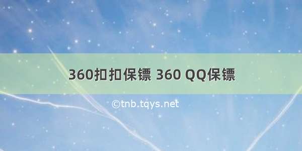 360扣扣保镖 360 QQ保镖