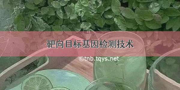 靶向目标基因检测技术