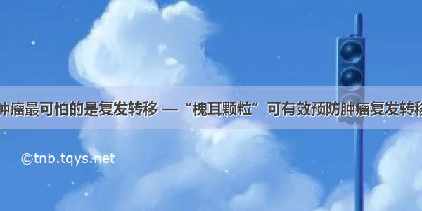 肿瘤最可怕的是复发转移 —“槐耳颗粒”可有效预防肿瘤复发转移