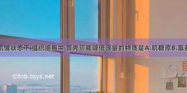 动物在饥饿状态下 组织细胞中 首先可能降低含量的物质是A.肌糖原B.氨基酸C.脂