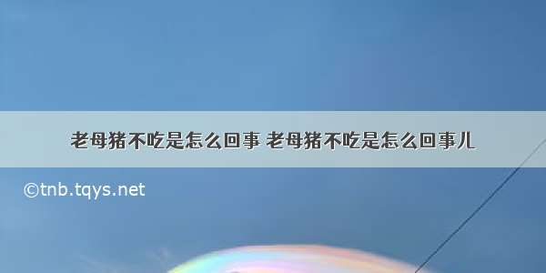 老母猪不吃是怎么回事 老母猪不吃是怎么回事儿