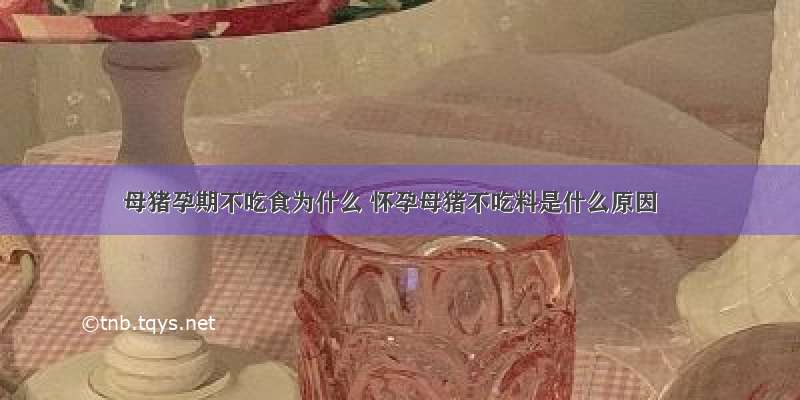 母猪孕期不吃食为什么 怀孕母猪不吃料是什么原因