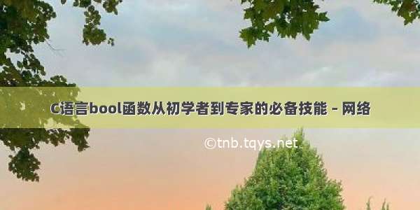 C语言bool函数从初学者到专家的必备技能 – 网络