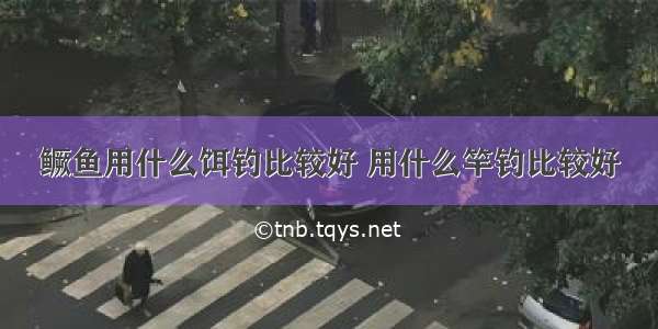 鳜鱼用什么饵钓比较好 用什么竿钓比较好