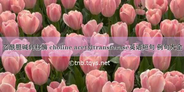 乙酰胆碱转移酶 choline acetyltransferase英语短句 例句大全