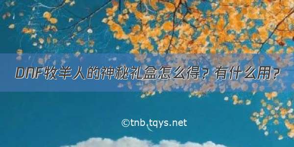 DNF牧羊人的神秘礼盒怎么得？有什么用？