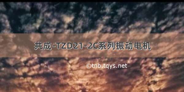 共成-TZD21-2C系列振动电机