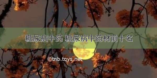 糖尿病中药 糖尿病中药材前十名