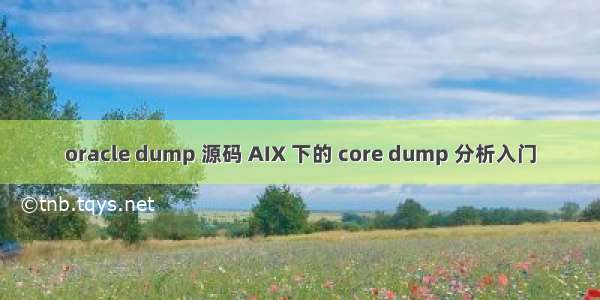 oracle dump 源码 AIX 下的 core dump 分析入门