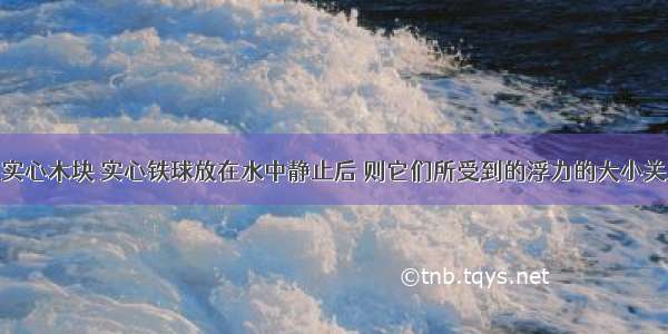 质量相等的实心木块 实心铁球放在水中静止后 则它们所受到的浮力的大小关系A.一样大