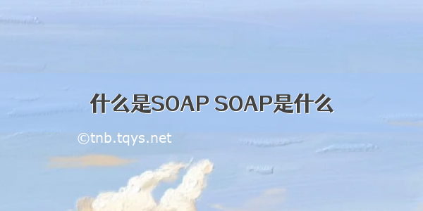 什么是SOAP SOAP是什么