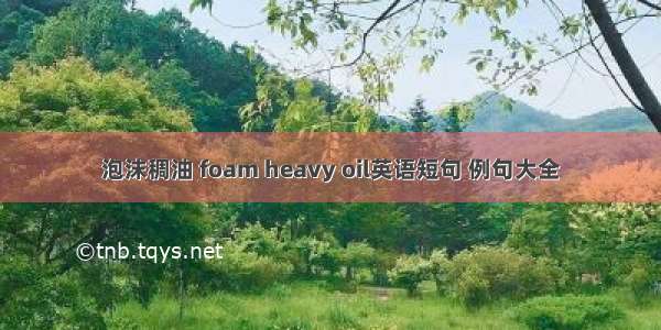 泡沫稠油 foam heavy oil英语短句 例句大全