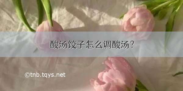 酸汤饺子怎么调酸汤？