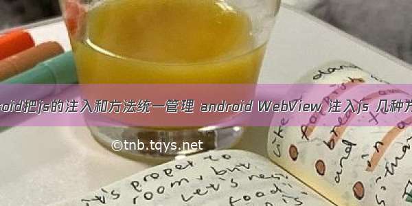 android把js的注入和方法统一管理 android WebView 注入js 几种方式