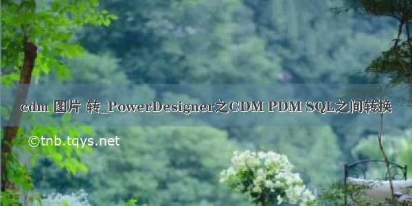 cdm 图片 转_PowerDesigner之CDM PDM SQL之间转换
