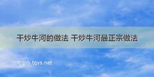 干炒牛河的做法 干炒牛河最正宗做法