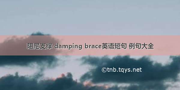 阻尼支撑 damping brace英语短句 例句大全