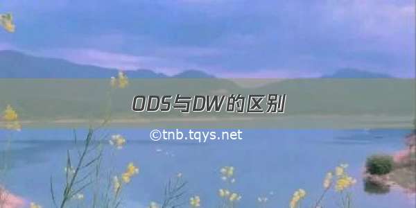 ODS与DW的区别