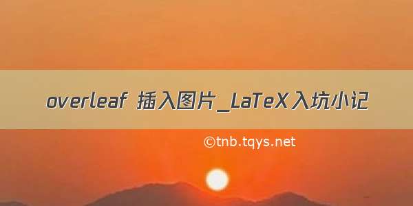 overleaf 插入图片_LaTeX入坑小记