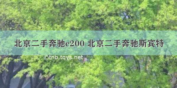 北京二手奔驰c200 北京二手奔驰斯宾特