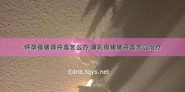 怀孕母猪得丹毒怎么办 哺乳母猪猪丹毒怎么治疗