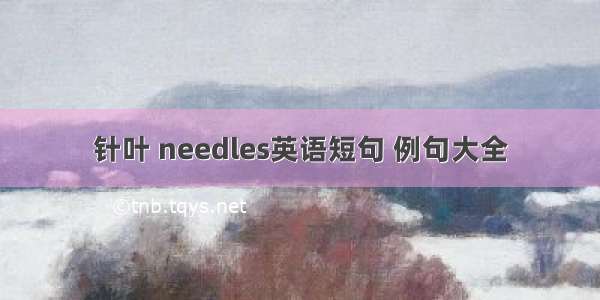 针叶 needles英语短句 例句大全