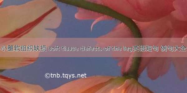 小腿软组织缺损 soft tissue defects of the leg英语短句 例句大全