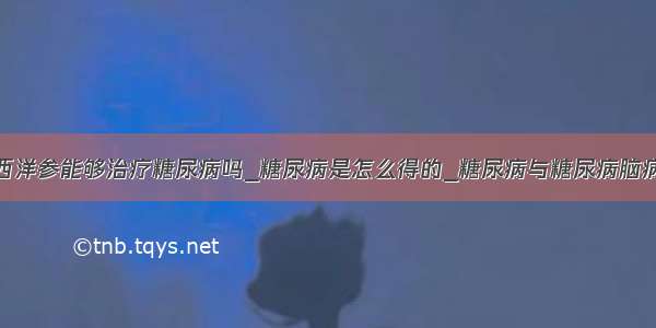 西洋参能够治疗糖尿病吗_糖尿病是怎么得的_糖尿病与糖尿病脑病