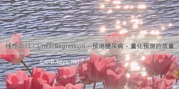 线性回归 - LinearRegression - 预测糖尿病 - 量化预测的质量