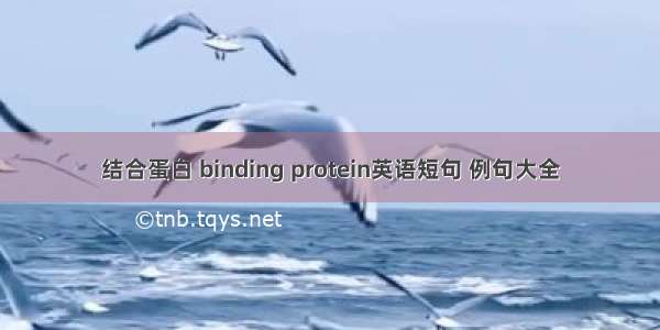 结合蛋白 binding protein英语短句 例句大全