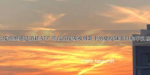 新生儿小肠上皮细胞通过消耗ATP 可以直接吸收母乳中的免疫球蛋白和半乳糖.这两种物质