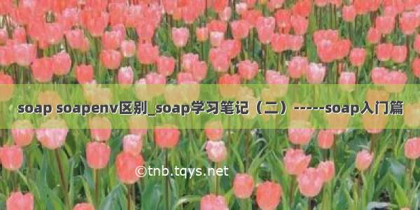 soap soapenv区别_soap学习笔记（二）-----soap入门篇